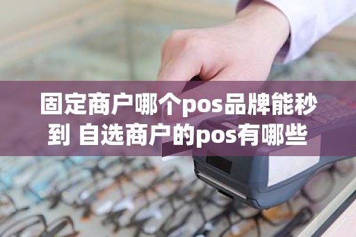 固定商户哪个pos品牌能秒到 自选商户的pos有哪些