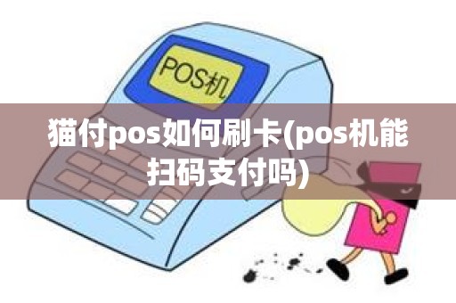 猫付pos如何刷卡(pos机能扫码支付吗)