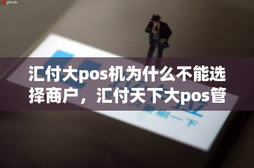 汇付大pos机为什么不能选择商户，汇付天下大pos管家