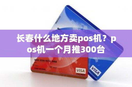 长春什么地方卖pos机？pos机一个月推300台