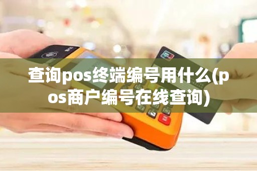 查询pos终端编号用什么(pos商户编号在线查询)