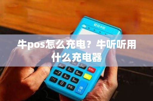 牛pos怎么充电？牛听听用什么充电器