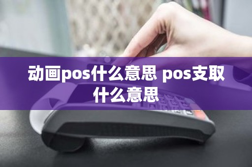 动画pos什么意思 pos支取什么意思