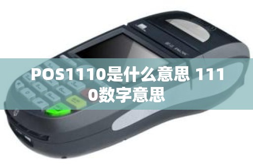 POS1110是什么意思 1110数字意思