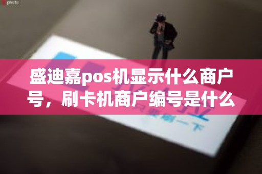 盛迪嘉pos机显示什么商户号，刷卡机商户编号是什么