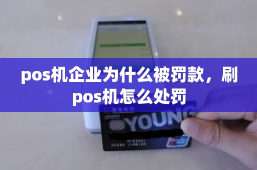 pos机企业为什么被罚款，刷pos机怎么处罚