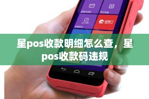 星pos收款明细怎么查，星pos收款码违规