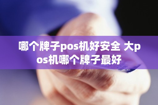 哪个牌子pos机好安全 大pos机哪个牌子最好