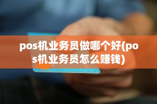 pos机业务员做哪个好(pos机业务员怎么赚钱)