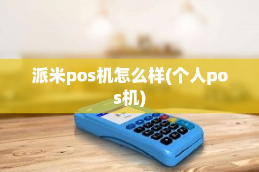 派米pos机怎么样(个人pos机)