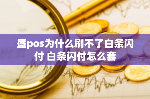 盛pos为什么刷不了白条闪付 白条闪付怎么套