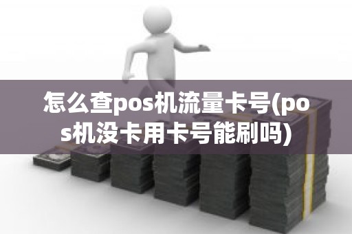 怎么查pos机流量卡号(pos机没卡用卡号能刷吗)