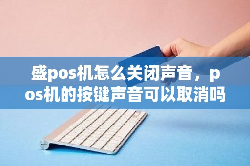 盛pos机怎么关闭声音，pos机的按键声音可以取消吗