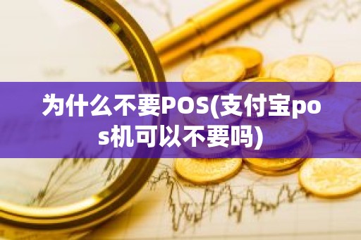 为什么不要POS(支付宝pos机可以不要吗)