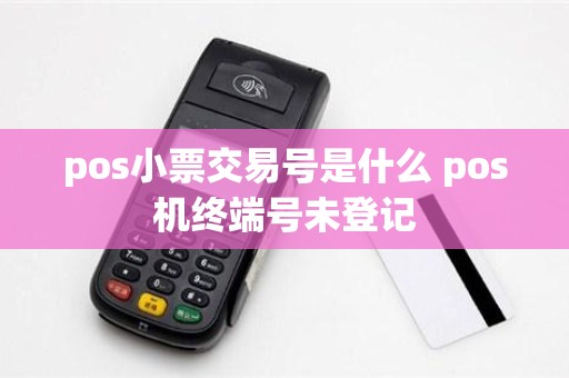 pos小票交易号是什么 pos机终端号未登记