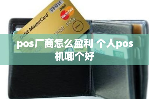 pos厂商怎么盈利 个人pos机哪个好