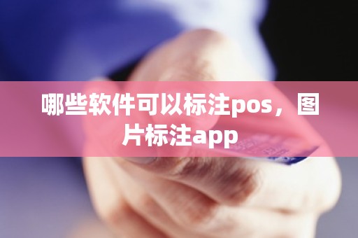 哪些软件可以标注pos，图片标注app