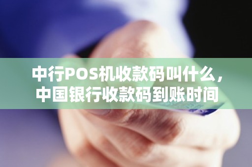 中行POS机收款码叫什么，中国银行收款码到账时间