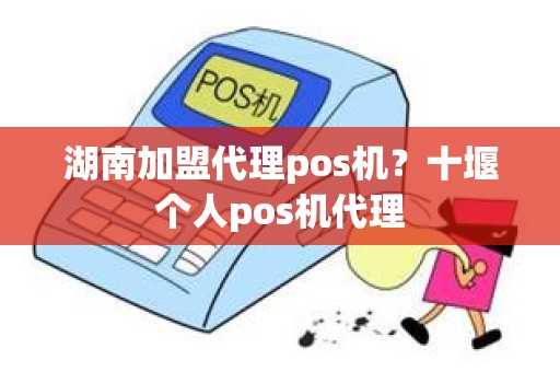 湖南加盟代理pos机？十堰个人pos机代理