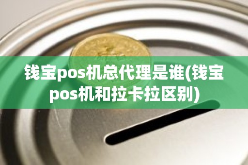 钱宝pos机总代理是谁(钱宝pos机和拉卡拉区别)