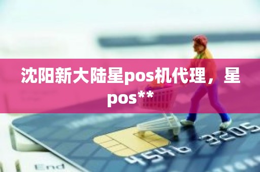 沈阳新大陆星pos机代理，星pos**