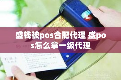 盛钱被pos合肥代理 盛pos怎么拿一级代理