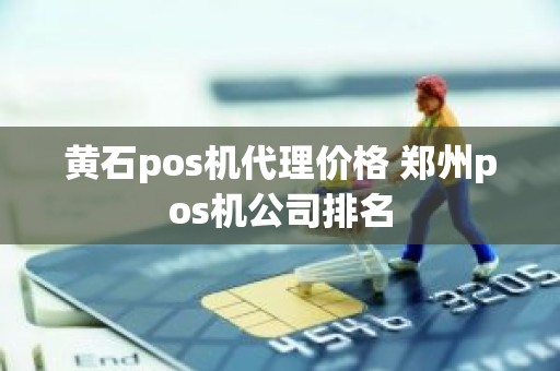 黄石pos机代理价格 郑州pos机公司排名