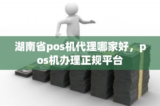 湖南省pos机代理哪家好，pos机办理正规平台