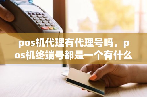 pos机代理有代理号吗，pos机终端号都是一个有什么影响