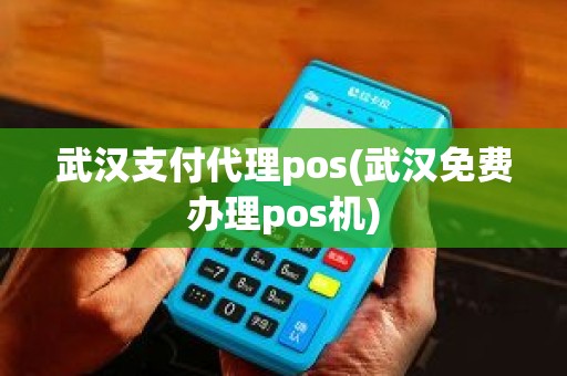 武汉支付代理pos(武汉免费办理pos机)