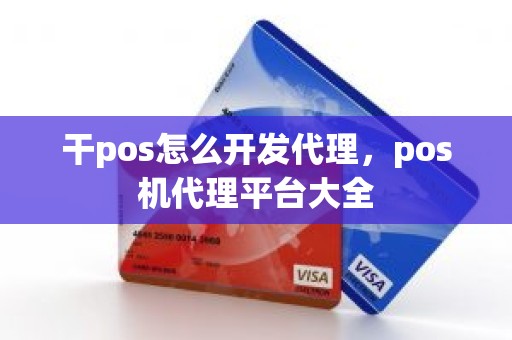 干pos怎么开发代理，pos机代理平台大全