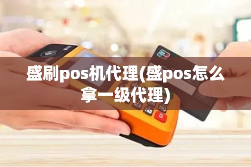 盛刷pos机代理(盛pos怎么拿一级代理)