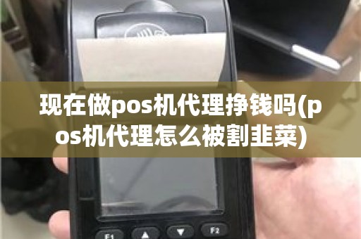 现在做pos机代理挣钱吗(pos机代理怎么被割韭菜)