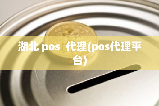 湖北 pos  代理(pos代理平台)