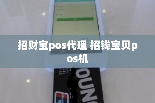 招财宝pos代理 招钱宝贝pos机