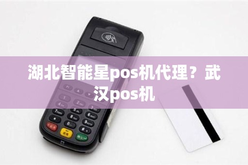 湖北智能星pos机代理？武汉pos机