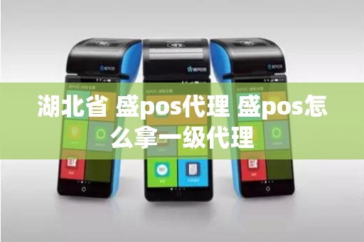 湖北省 盛pos代理 盛pos怎么拿一级代理