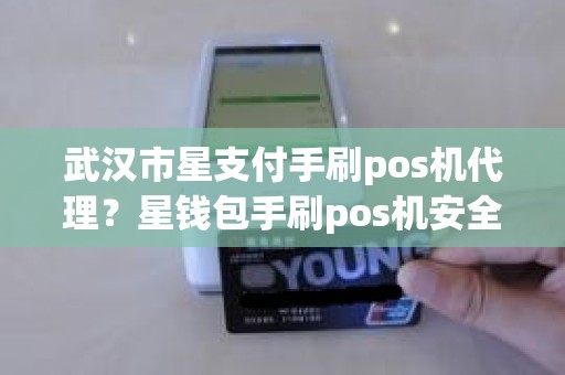 武汉市星支付手刷pos机代理？星钱包手刷pos机安全吗