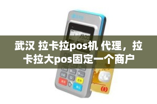 武汉 拉卡拉pos机 代理，拉卡拉大pos固定一个商户