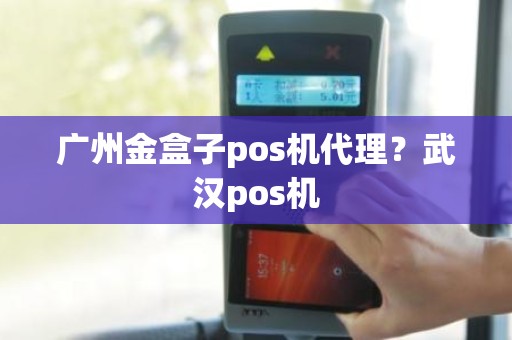 广州金盒子pos机代理？武汉pos机