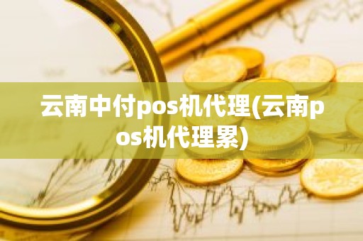 云南中付pos机代理(云南pos机代理累)