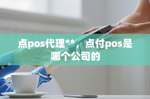 点pos代理**，点付pos是哪个公司的