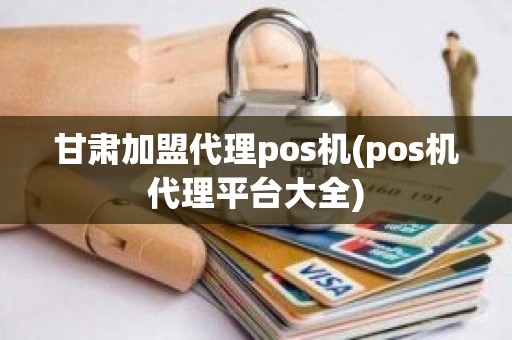 甘肃加盟代理pos机(pos机代理平台大全)