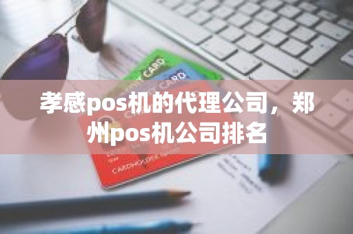 孝感pos机的代理公司，郑州pos机公司排名