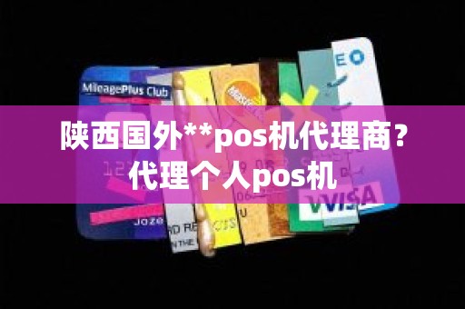 陕西国外**pos机代理商？代理个人pos机