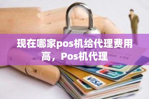 现在哪家pos机给代理费用高，Pos机代理