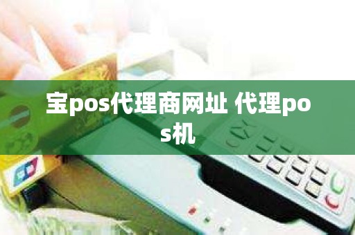 宝pos代理商网址 代理pos机