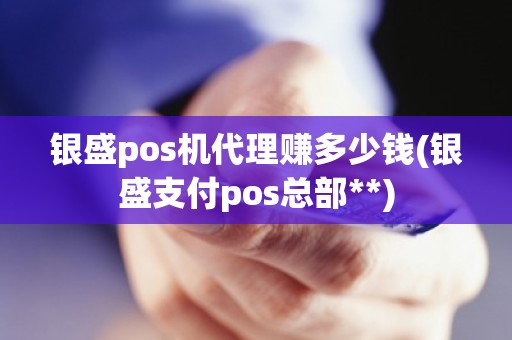 银盛pos机代理赚多少钱(银盛支付pos总部**)