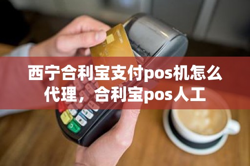 西宁合利宝支付pos机怎么代理，合利宝pos人工