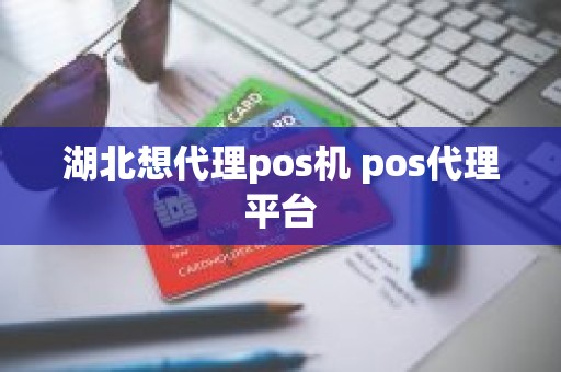 湖北想代理pos机 pos代理平台